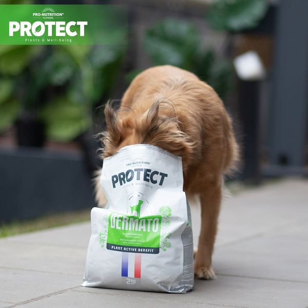 PROTECT CHIEN DERMATO (ДЕРМАТО) Лікувальний корм при захворюваннях шкіри, гіпоалергенний 12 кг 200240 фото