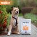 PROTECT CHIEN DIGEST (ДАЙДЖЕСТ) Лечебный корм при проблемах с желудочно-кишечными расстройствами (чувствительное пищеварение), гипоаллергенный 2 кг 200190C4 фото 4