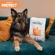 PROTECT CHIEN DIGEST (ДАЙДЖЕСТ) Лечебный корм при проблемах с желудочно-кишечными расстройствами (чувствительное пищеварение), гипоаллергенный 2 кг 200190C4 фото 7